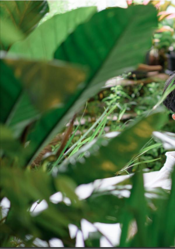 Brothers-Vol.15---Diamond